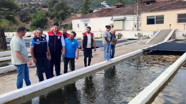 Bozdoğan'da Su Ürünleri Üretimi 3.696 Ton