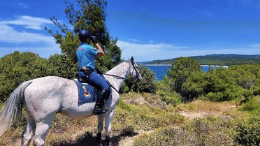 Çanakkale'de Orman Yangını Denetimi