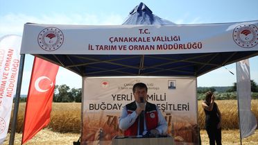 Çanakkale'de Hasatlı Tarla Günü Etkinliği