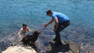 Miço: Deniz Polisi'nin Kahraman Köpeği