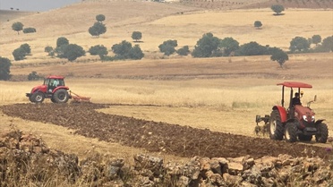 Diyarbakır'da Anız Yangınına Müdahele