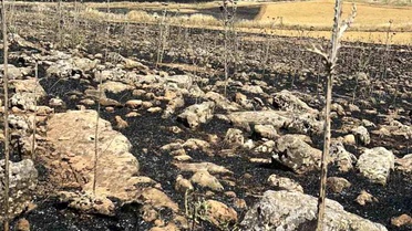 Diyarbakır'da Ekili Arazi Yangını