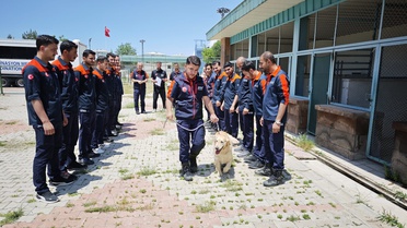 Köpük: 9 Yaşında Kahraman Arama Kurtarma Köpeği