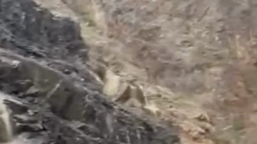 Yusufeli'nde Heyelan, Karayolu Kapandı