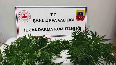Şanlıurfa'da Uyuşturucu Operasyonu