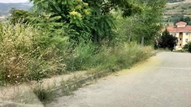 Kaldırımları otlar kaplayınca vatandaşların yılan korkusu başladı