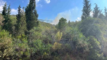 Marmaris'te yıldırım kaynaklı yangın