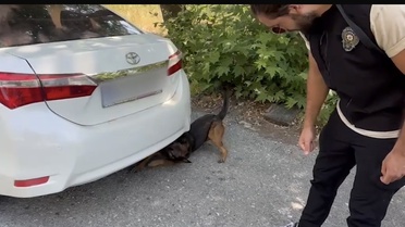 Marmaris'te 5 Kg Skunk Ele Geçirildi