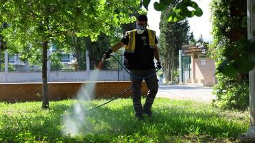 Samsun'da Vektör İlaçlama Çalışmaları