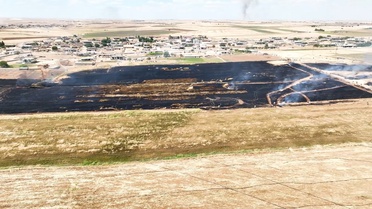 Şanlıurfa'da Anız Yangınları Ekili Alanlara Zarar Verdi