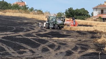 Tekirdağ'da 100 Dekar Buğday Tarlası Yandı