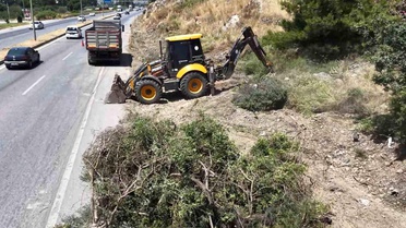 Söke'de Orman Yangını Önleme Çalışmaları