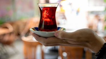 Balkona çay içmeye çıktı, karşısında dev yılanı görünce donakaldı