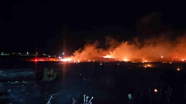 Burhaniye'de korkutan örtü yangını