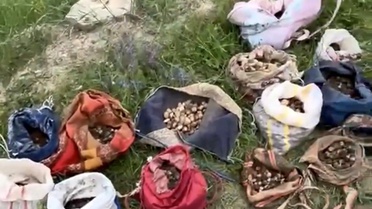 Çankırı'da Salep Orkidesi Toplayanlara Ceza