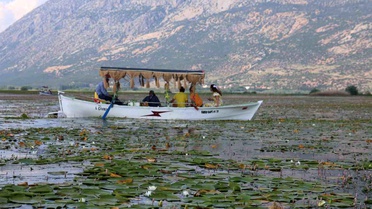 Işıklı Gölü'nde Nilüferler Geç Çiçek Açtı