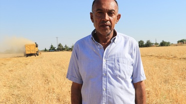 Kilis'te Hasat Sezonu Başladı