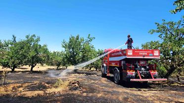 Malatya'da bahçe ve orman yangını