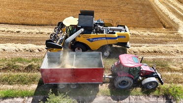 Trakya'da Arpa Hasadı Başladı