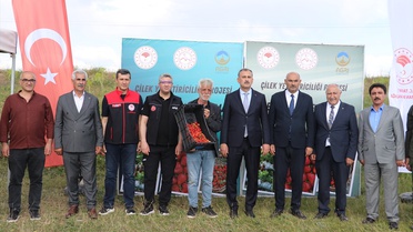 Ağrı'da Çilek Projesi Başladı