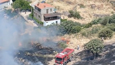 Ayvacık'ta makilik yangını