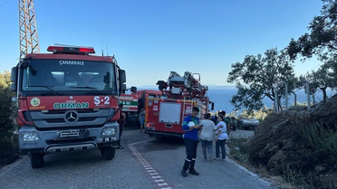 Ayvacık'ta Zeytinlik Yangını Söndürüldü