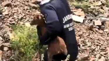 Kayıp Baba ve Oğul Ararken Keçi Kurtarıldı