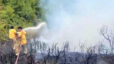 Muğla'da Yıldırım Kaynaklı Orman Yangınları
