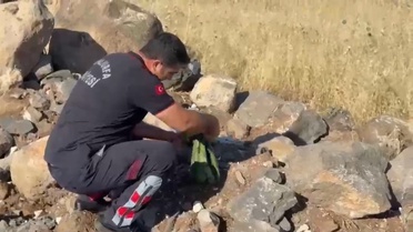 Bebek Arabasında Yılan Panik Yaratıdı