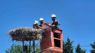 Leylek Festivali Hayrabolu'da Başladı