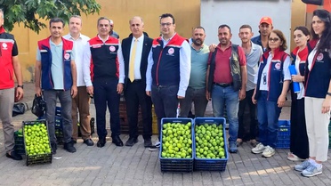 Aydın'ın dünya markası inciri için sahada yoğun mesai