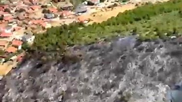Balıkesir'deki orman yangını kontrol altına alındı
