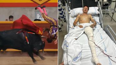 Boğanın hedefi olan genç matador ölümle pençeleşiyor