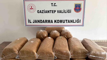 Gaziantep'te Jandarma Kontrolünde 353 Şahıs Yakalandı