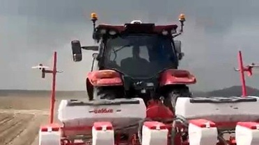 Tomarza'da Çerezlik Kabak Çekirdeği Ekim Sezonu Başladı