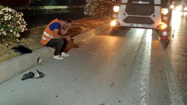 Manavgat'ta Zincirleme Kaza: Bir Kişi Hayatını Kaybetti