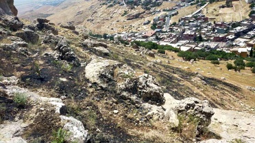 Mardin'de Orman Yangını Söndürüldü