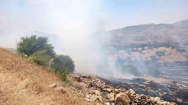 Mardin'de Orman Yangınına Müdahele