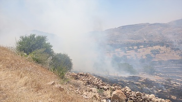 Mardin'de Kırsal Alanda Yangın Söndürüldü
