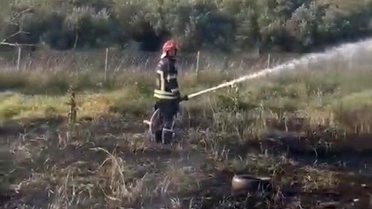 Osmaniye'de tankerin lastiklerinden çıkan yangın zeytin bahçesine sıçradı