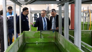 Bolu'da 100 Bin Abant Alası Gölle Buluştu