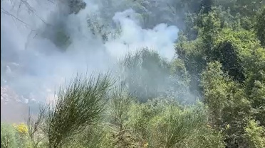 Kaş'ta Orman Yangını Kontrol Altına Alındı