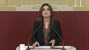 Koçyiğit'ten Çerçeve Yasa Açıklaması