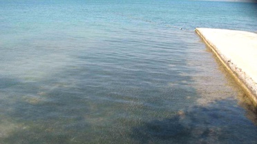 Didim'in Deniz Suyu Kalitesi Mükemmel