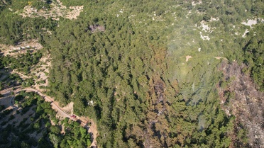 Kaş'ta Orman Yangını Kontrol Altına Alındı