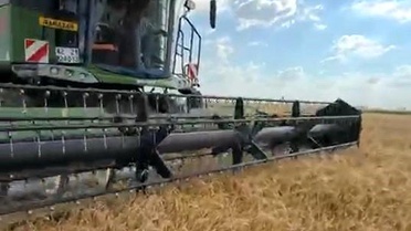 Karapınar'da Arpa Hasadı Başladı