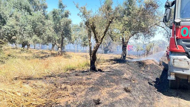 Bayındır'da Yangın Korkuttu