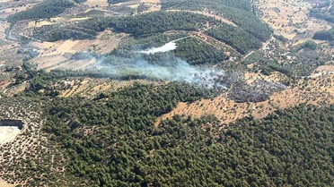 Milas'ta çıkan zirai yangın kısa sürede kontrol altına alındı
