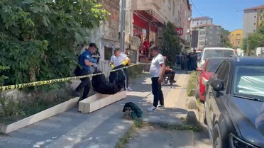 Sarıyer'de metruk binada kayıp kedisini arayan kadın ceset buldu