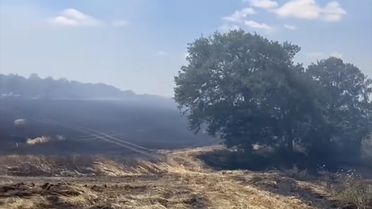 Malkara'da 200 Dekar Buğday Tarlası Yandı